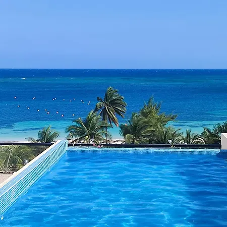 Modern 1 Bedroom Suite By Beach Great Location!