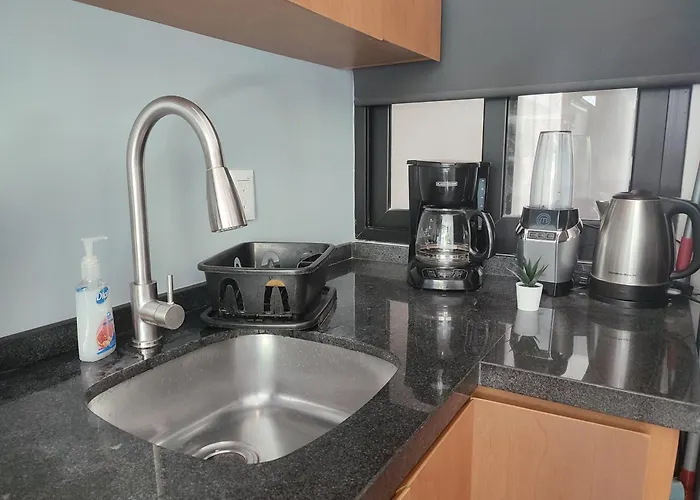 Apartment Modern 1 Bedroom By Great Location!